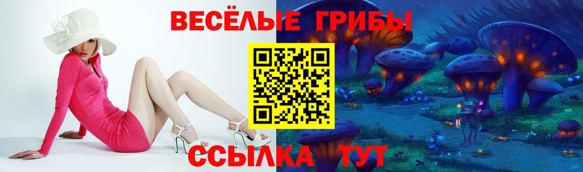 Псилоцибиновые грибы GOLDEN TEACHER  Галлюциногенные грибы прущие грибы  Нерюнгри  Вход с VPN 